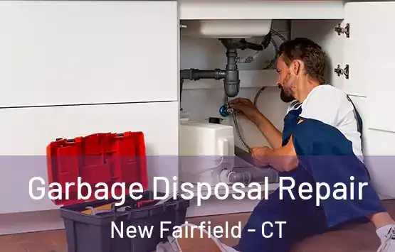  Garbage Disposal Repair New Fairfield - CT