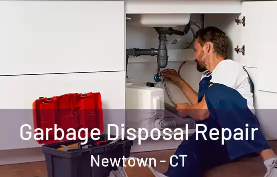  Garbage Disposal Repair Newtown - CT