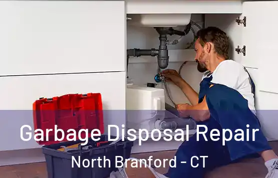  Garbage Disposal Repair North Branford - CT
