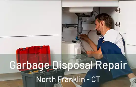  Garbage Disposal Repair North Franklin - CT