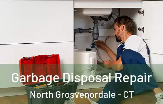 Garbage Disposal Repair North Grosvenordale - CT