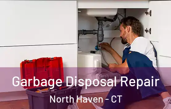  Garbage Disposal Repair North Haven - CT
