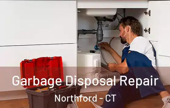  Garbage Disposal Repair Northford - CT