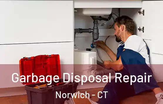  Garbage Disposal Repair Norwich - CT