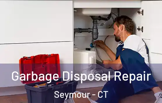  Garbage Disposal Repair Seymour - CT