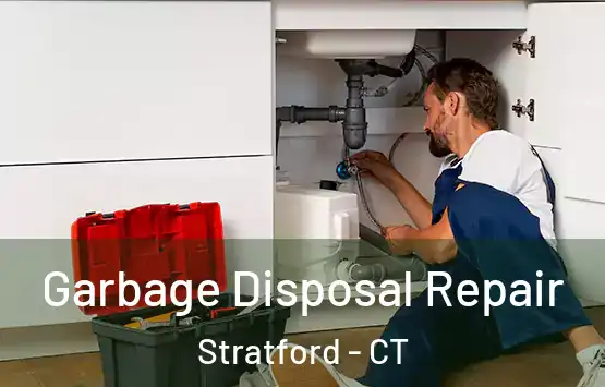  Garbage Disposal Repair Stratford - CT
