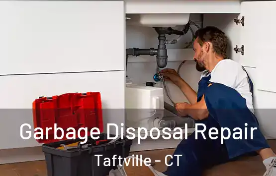  Garbage Disposal Repair Taftville - CT