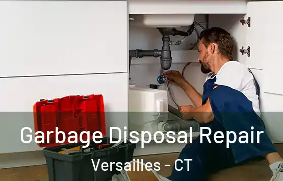  Garbage Disposal Repair Versailles - CT