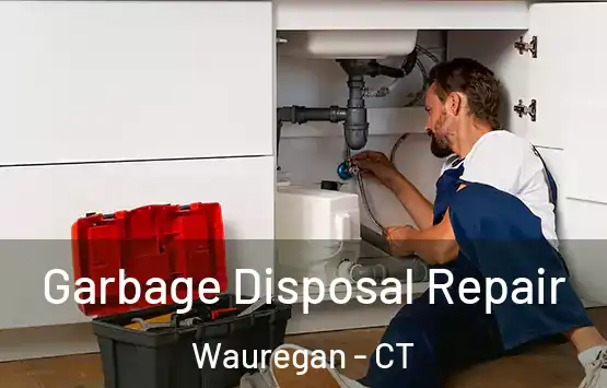  Garbage Disposal Repair Wauregan - CT