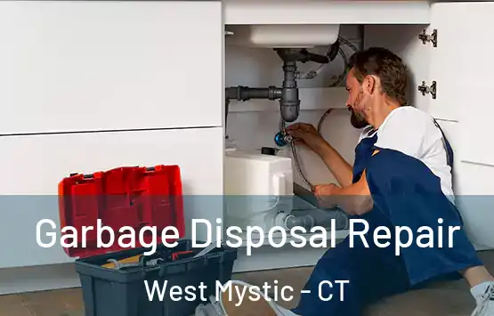  Garbage Disposal Repair West Mystic - CT