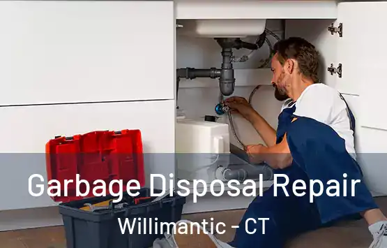  Garbage Disposal Repair Willimantic - CT