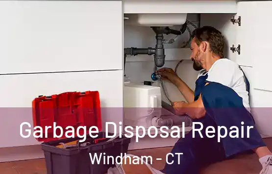  Garbage Disposal Repair Windham - CT