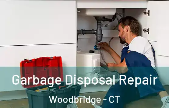  Garbage Disposal Repair Woodbridge - CT