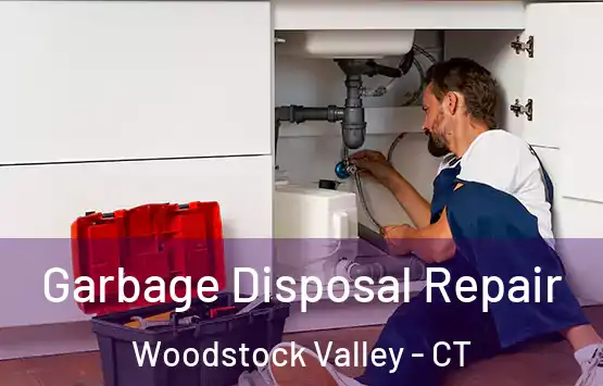  Garbage Disposal Repair Woodstock Valley - CT
