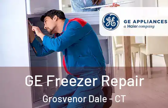  GE Freezer Repair Grosvenor Dale - CT