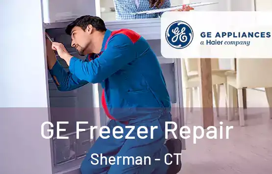  GE Freezer Repair Sherman - CT