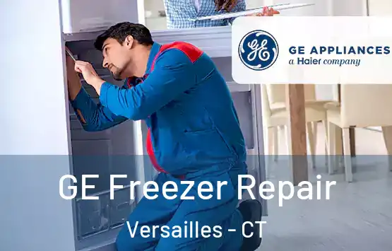  GE Freezer Repair Versailles - CT