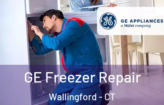 GE Freezer Repair Wallingford - CT