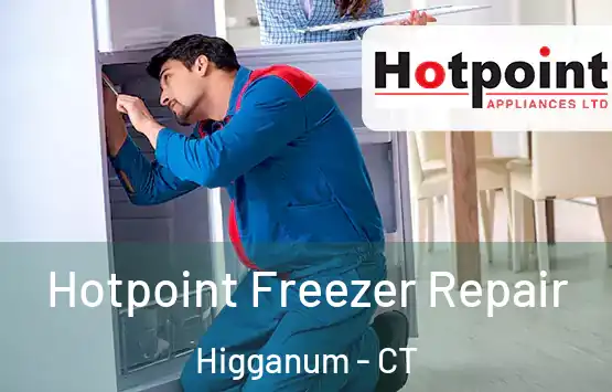  Hotpoint Freezer Repair Higganum - CT