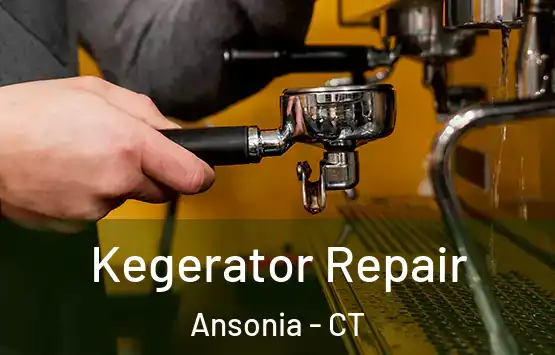  Kegerator Repair Ansonia - CT