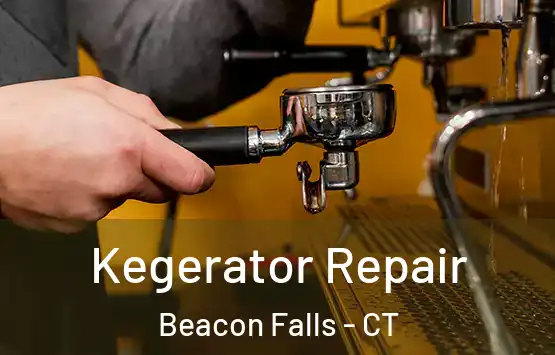  Kegerator Repair Beacon Falls - CT