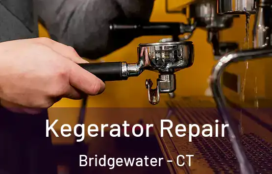  Kegerator Repair Bridgewater - CT