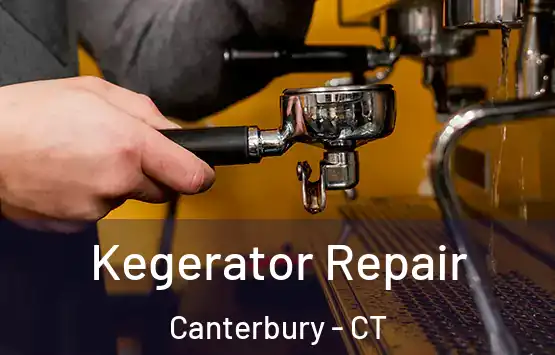  Kegerator Repair Canterbury - CT