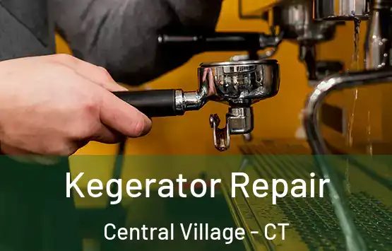  Kegerator Repair Central Village - CT