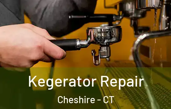  Kegerator Repair Cheshire - CT