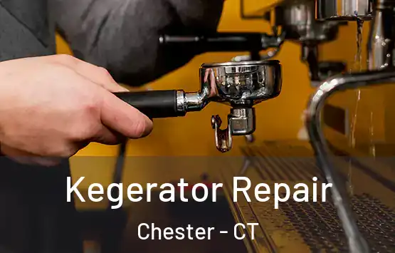  Kegerator Repair Chester - CT