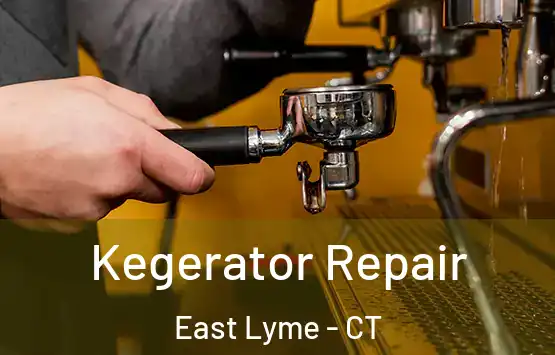  Kegerator Repair East Lyme - CT