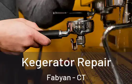  Kegerator Repair Fabyan - CT
