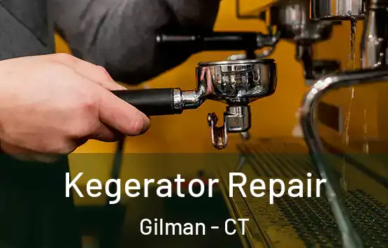  Kegerator Repair Gilman - CT