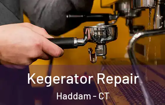  Kegerator Repair Haddam - CT