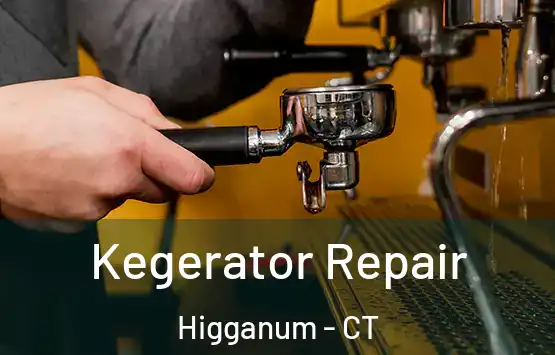  Kegerator Repair Higganum - CT