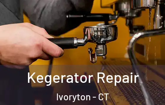  Kegerator Repair Ivoryton - CT