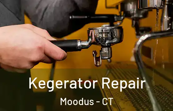  Kegerator Repair Moodus - CT