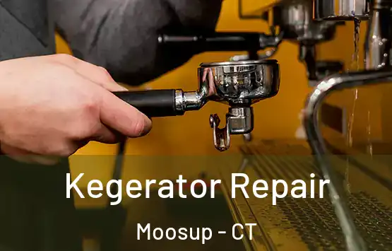  Kegerator Repair Moosup - CT