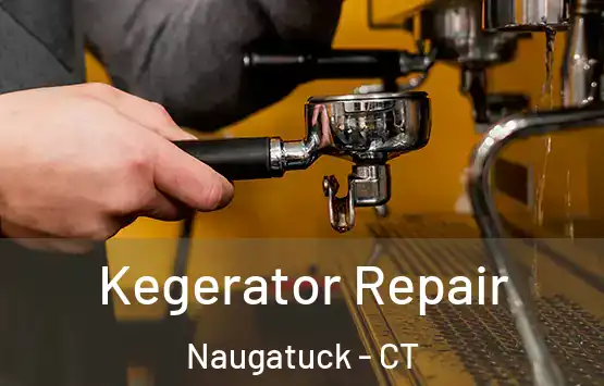  Kegerator Repair Naugatuck - CT