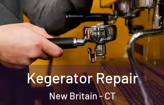  Kegerator Repair New Britain - CT