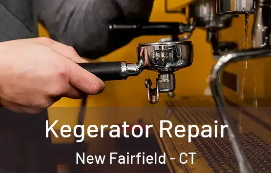  Kegerator Repair New Fairfield - CT