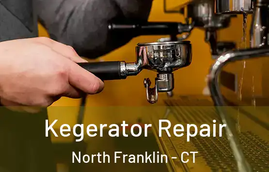  Kegerator Repair North Franklin - CT