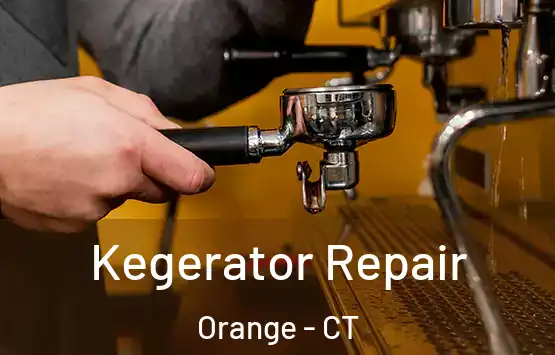  Kegerator Repair Orange - CT