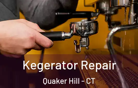  Kegerator Repair Quaker Hill - CT