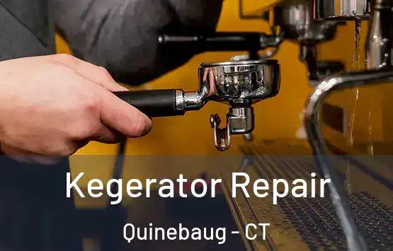  Kegerator Repair Quinebaug - CT