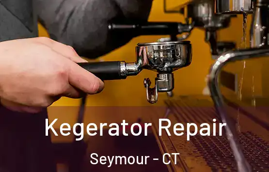  Kegerator Repair Seymour - CT