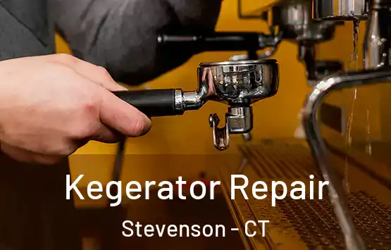  Kegerator Repair Stevenson - CT