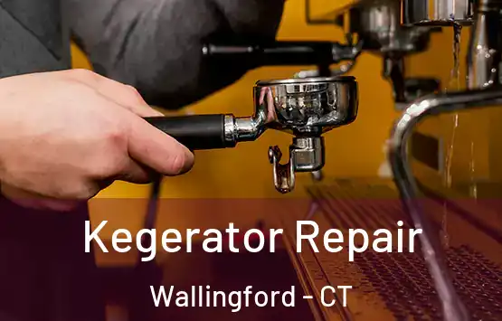  Kegerator Repair Wallingford - CT
