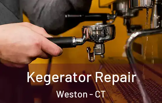  Kegerator Repair Weston - CT