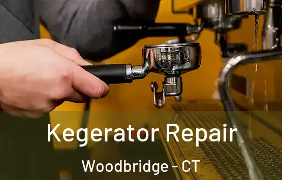  Kegerator Repair Woodbridge - CT